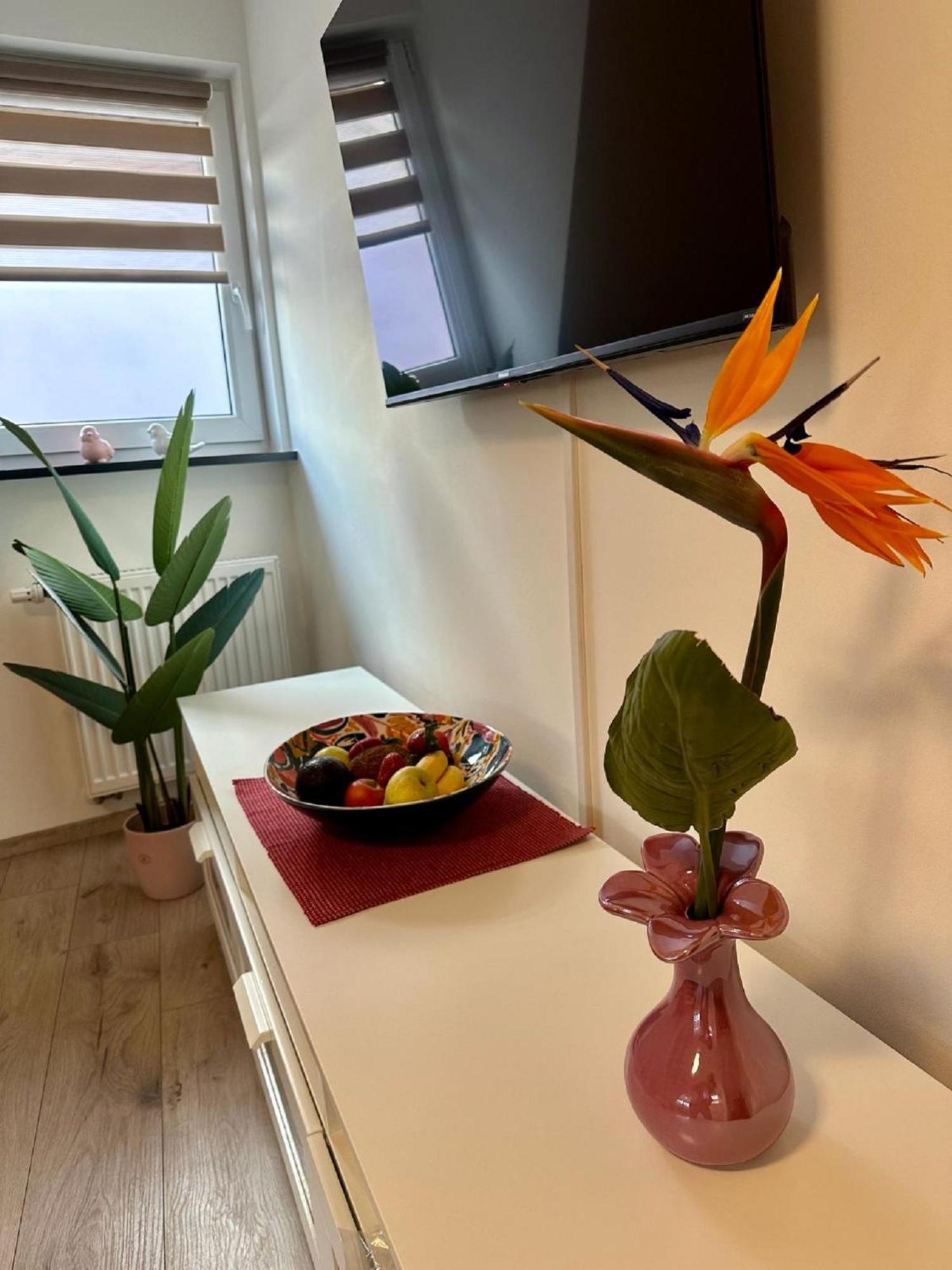 Goja Apartment
